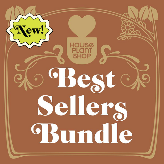 Best Selling Bundle